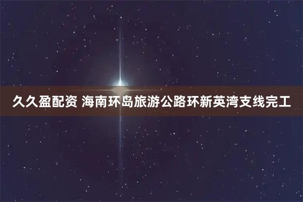 久久盈配资 海南环岛旅游公路环新英湾支线完工