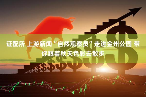 证配所 上游新闻“自然观察员”走进金州公园 带你跟着秋天色彩去散步