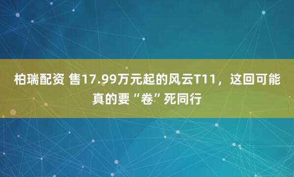 柏瑞配资 售17.99万元起的风云T11，这回可能真的要“卷”死同行