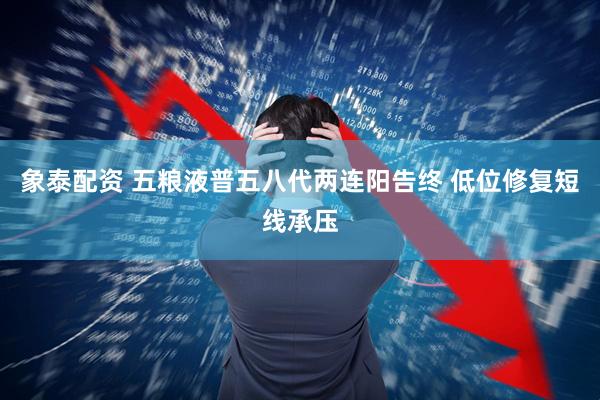 象泰配资 五粮液普五八代两连阳告终 低位修复短线承压